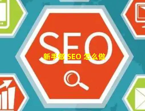 新手做 SEO 怎么做